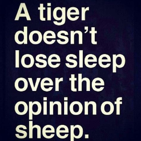 a tiger doesn't lose sleep over the opinion of sheep - anonymous Don't Let Others Bring You Down, Self Confidence Quotes, Confidence Quotes, Self Confidence, Great Quotes, Wise Words, Favorite Quotes, Quotes To Live By, Best Quotes