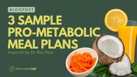 Ray Peat Meal Plan, Pro Metabolic Meal Plan, Metabolic Meal Plan, Dr Ray Peat, Metabolic Eating, Grated Carrot Salad, Pro Metabolic, Ray Peat, Metabolic Reset