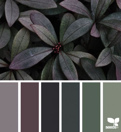 Moody Hues Seeds Color, Color Concept, Color Schemes Colour Palettes, Green And Gray, Color Palate, Design Seeds, Color Palette Design, Color Balance, Bath Room