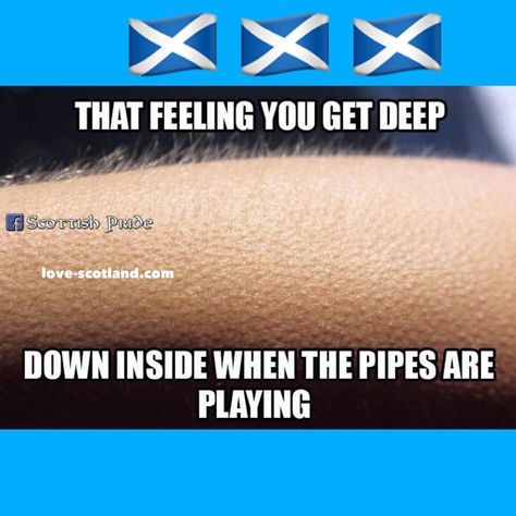 Scottish Quotes Funny, Scottish Memes Funny, Scotland Memes Funny, Celtics Memes, Scottish Jokes, Scottish Funny, Forever Meme, Scottish Sayings, Scottish Phrases