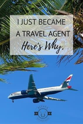 Best Travel Agency To Work For, Travel Agent Career, Travel Consultant, Become A Travel Agent, Hawaiian Travel, Online Travel Agency, Travel Agencies, Travel Advisor, Travel Jobs