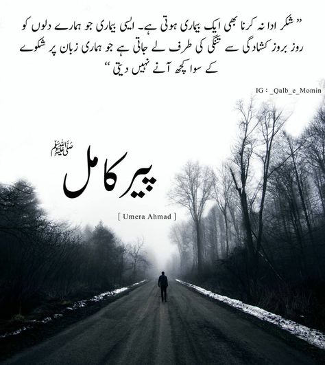 Urdu Novels Quotes, Last Day Quotes, Peer E Kamil, Novels Quotes, Famous Book Quotes, Loyalty Quotes, Novelist Quotes, Impress Quotes, Aesthetics Quote