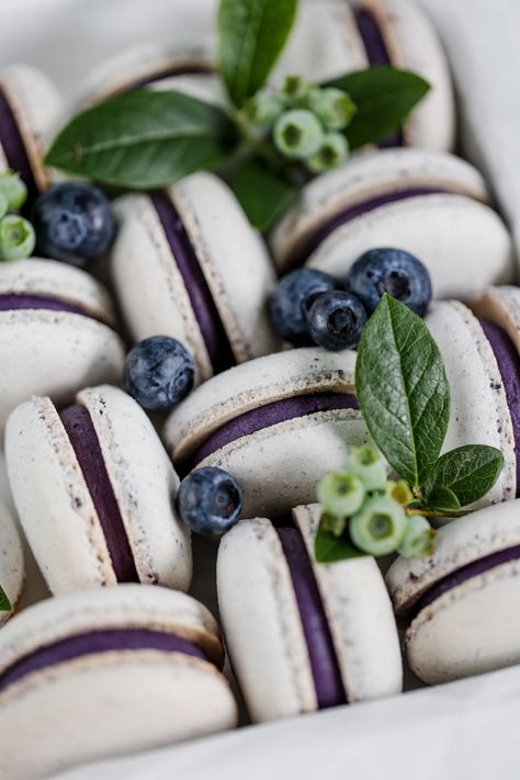 Blueberry Macarons, Macarons Recipe Easy, Macaron Recipes, French Macarons Recipe, Macaron Filling, Blueberry Powder, Macaron Flavors, French Macaron, Blueberry Juice