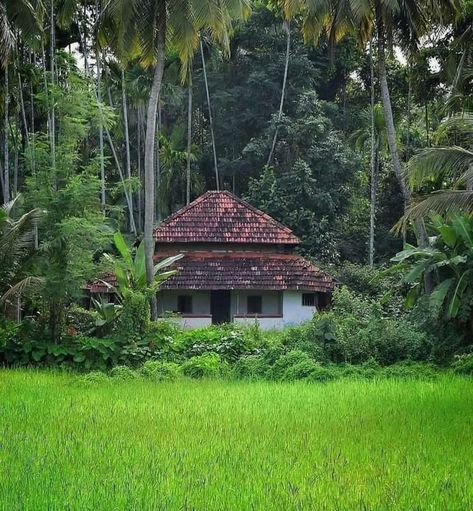 null   #amreading #books #wattpad Kerala Beauty Nature, Konkan House, Kerala Aesthetic, Kerala Homes, Luxury Graphic Design, Kerala Traditional House, Kerala Architecture, Green Village, Kerala Travel