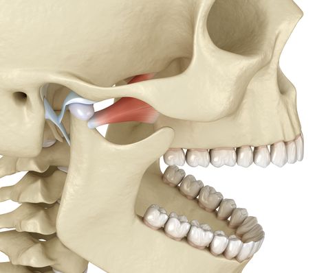 🤔 Did you know TMJ is the 'Great Imposter'? 😮 This disorder can cause a wide range of seemingly unrelated symptoms like headaches, ear pain, and even numbness in fingertips. Learn how it's all connected through the intricate nervous system and the body's survival mechanisms. 🧠💪 #TMJ #TMD #JawPain #NervousSystem #HealthConnections #SurvivalMechanism #HolisticHealth #UnderstandingSymptoms #PainManagement #WellnessJourney Ear Congestion, Jaw Exercises, Teeth Alignment, Muscle Twitching, Facial Nerve, Jaw Pain, Head Pain, Body Joints, Shoulder Muscles