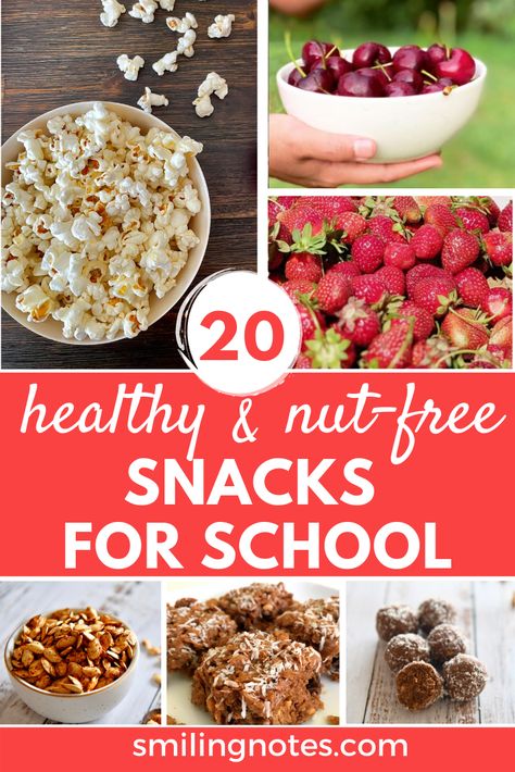 20 Healthy & Nut Free Back to School Snack Ideas Healthy School Snacks Nut Free, Nut Free Snacks For Kids School, No Nut Lunches For Kids, Nut Free Protein Snacks For Kids, Nut Free School Snacks, Nut Free Protein Snacks, Peanut Free Snacks For Kids, Nut Free Lunches For Kids, Kid Snacks For School