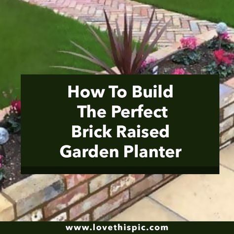 How To Build The Perfect Brick Raised Garden Planter Brick Planters, Raised Garden Planter, Brick Planter, Diy Flower Boxes, Raised Garden Planters, Brick Garden, Raised Planter, Garden Planter, Landscaping Plants