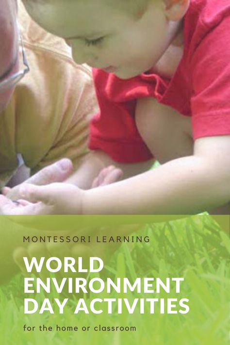 World Environment Day will be celebrated on June 5, 2010. The United Nations Environment Programme aims for World Environment Day to be the largest and most widely celebrated day for environmental action. Here are some activities for the classroom or homeschool. #Montessori #Environment World Environment Day Activities Kids, World Environment Day Activities, Environment Day Activities, Environment Activities, Environmental Activities, Montessori Curriculum, Homeschool Montessori, Activities For The Classroom, United Nations Environment Programme