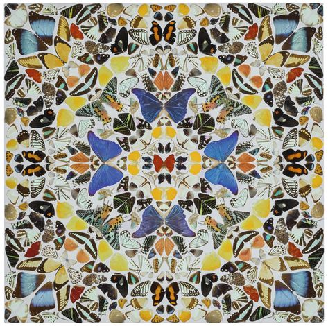 Damien Hirst - Kaleidoscope VI, butterflies and household gloss on canvas 61 by 61 cm Damien Hirst Butterfly, Damien Hirst Art, Textiles Projects, Damien Hirst, Irish Art, Gcse Art, Natural Forms, Butterfly Art, Art Exhibition