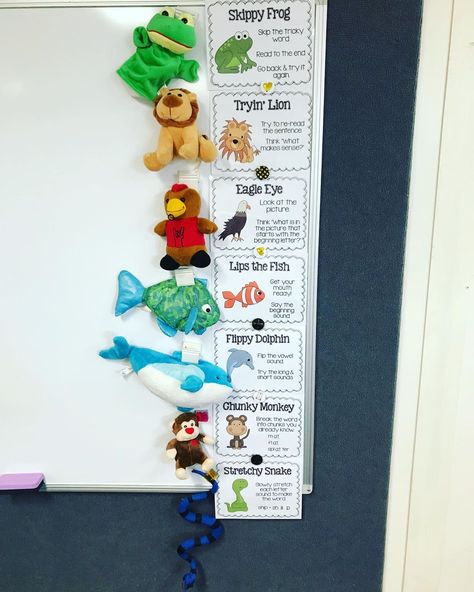 In love with my ‘Super Seven Strategies’ display 😍 I decided to make the wall 3-D using stuffed animals as mascots for the strategies. I’m… Classroom Stuffed Animal, Animal Mascot, Chunky Monkey, Classroom Management Strategies, Management Strategies, Kindergarten Literacy, Teacher Teacher, Diy Hacks, Classroom Management