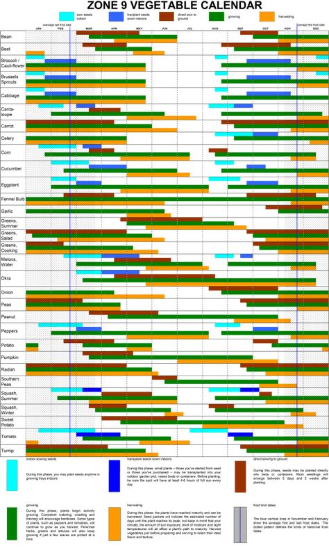 Vegetable Planting Schedule, 8b Plants, Seed Planting Calendar, Spring Planting Guide, Fall Planting Guide, Planting Zones Map, Garden Zone 9b, Zone 9 Gardening, Vegetable Planting Calendar