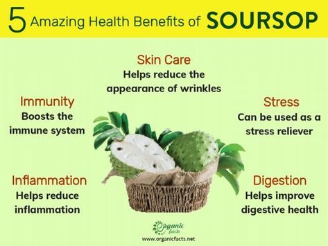 Soursop Fruit Benefits, Guanabana Benefits, Graviola Benefits, Soursop Tea Benefits, Health Benefits Of Soursop, Soursop Benefits, Benefits Of Soursop, Herb Benefits, Soursop Fruit