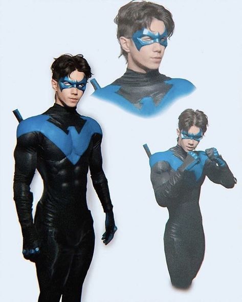 Nightwing Sims 4 Cc, Night Wing Costume, Nightwing Costume, Doberman Boy, Costume Template, Nightwing Costumes, Nightwing Art, Nightwing Wallpaper, Batman Ideas