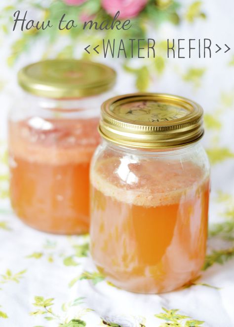 how to make water kefir uk Homemade Probiotics, Coconut Water Smoothie Recipes, Coconut Water Popsicles, Kefir Water, Kefir Benefits, Smoothies Vegan, Coconut Water Benefits, Freeze Dryer, How To Make Water