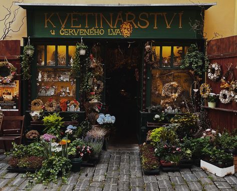 #darkacademia #academia #flowers #flowershop #europe #travel #prague #czechrepublic #aesthetic Dark Flower Shop Aesthetic, Flower Shop Aesthetic Dark, Florist Aesthetic Male, Dark Flower Shop, Flower Shop Aesthetic Vintage, Floral Shop Aesthetic, Flowershop Aesthetic, Flower Shop Aesthetic, Florist Aesthetic