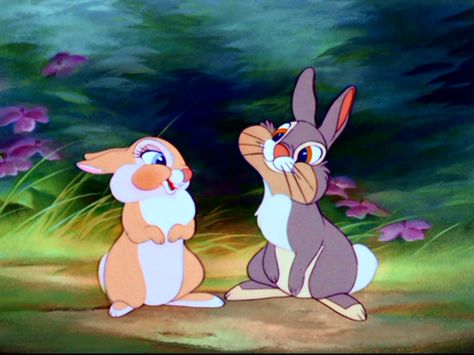 twitterpated Thumper Bambi, Bambi 1942, Miss Bunny, Bambi Disney, Disney Icons, Disney Classics, Disney Animals, Disney Favorites, Old Disney