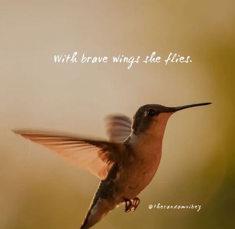 Hummingbird Quotes Simple, Hummingbird Quotes, Quotes Journal, Hippie Garden, Brave Wings, Inspirational Quotes Posters, Bible Study Verses, Journal Quotes, Bible Art Journaling