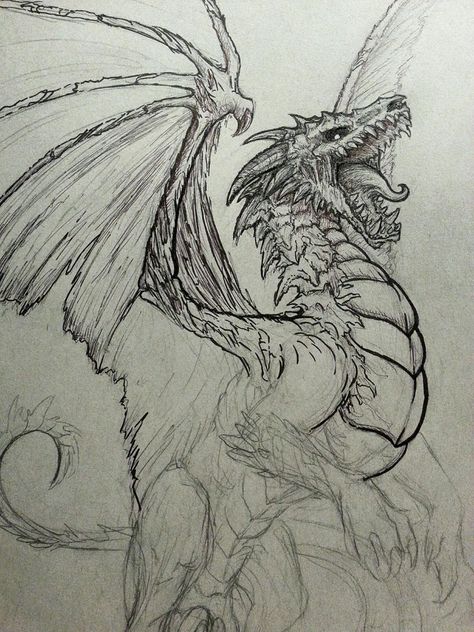 Undead Dragon Sketch by CrystalSully Undead Dragon, Dragon Sketch, Výtvarné Reference, Dragon Sculpture, Dragon Tattoo Designs, Dragon Pictures, Desenho Tattoo, Dragon Artwork, Arte Sketchbook