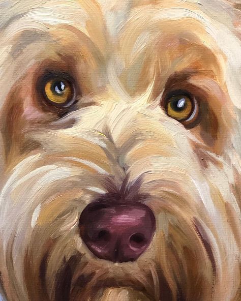 Labradoodle Art, Dog Portraits Painting, Dog Portraits Art, Puppy Portraits, Paint Your Pet, Acrylic Artwork, Dog Drawing, Dog Paintings, Labradoodle