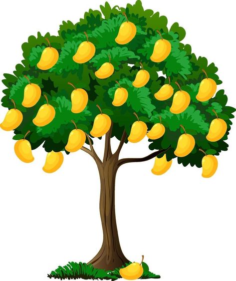 Mango Tree Drawing, Mango Tree Illustration, Trees With Fruits, Mango Tree Images, Tree Cartoon Images, Garden With Fruit Trees, Grass Png, Yellow Mango, Free Cartoon Characters