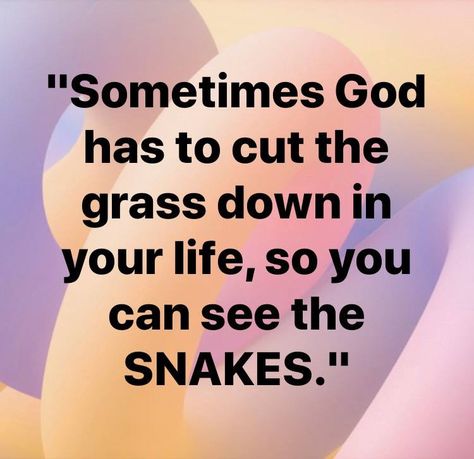 Snakes Quotes, Snake Quotes, Inspirational Quotes God, Karma Quotes, The Snake, Lesson Quotes, Life Lesson Quotes, Powerful Quotes, The Grass