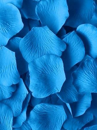 Silk Rose Petals, Wedding Rose, Wedding Blue, Silk Rose, Floating In Water, Silk Wedding, Freeze Dried, Silk Roses, Azure Blue