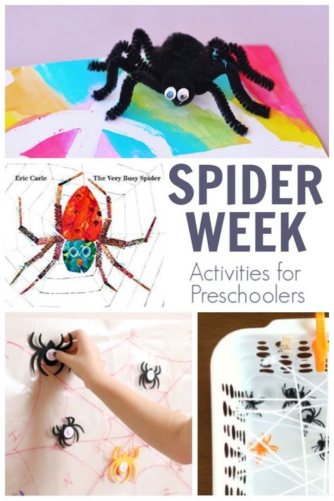 Great week of fun, simple and easy preschool activities for Spider Week to do at home with your preschooler and older toddler.Featuring The Very Busy Spider by Eric Carle from the Virtual Book Club for Kids.Don't forget to Join! So you can get other weekly activities straight to your inbox.#spiderweek #preschoolactivities #vbcforkids The Very Busy Spider Preschool, Spider Lesson Plans For Preschool, Spider Theme Preschool, Spider Crafts Preschool, Spider Math Activities, Easy Preschool Activities, Spider Unit Study, Spiders Preschool, Spider Unit