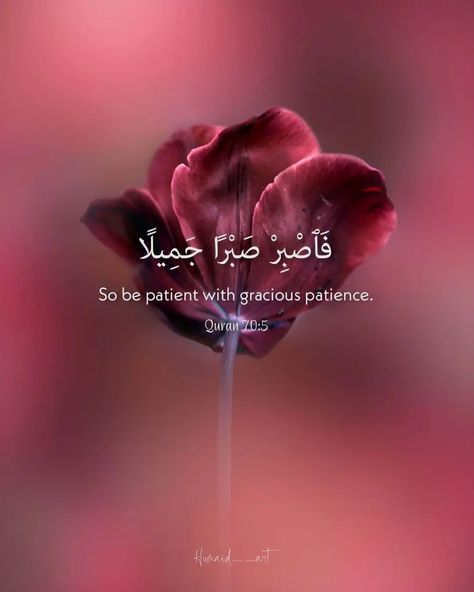 Quran 70:5, Allah Dps, Iman Quotes, Quranic Quotes, Muslim Art, Beautiful Verses, Islamic Sayings, Quranic Verses, Short Islamic Quotes