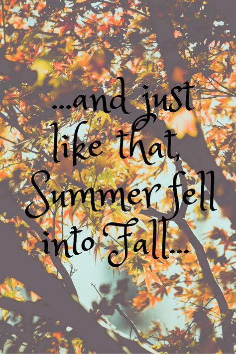 And just like that, summer fell into fall. #seasons #autumn Fall Has Arrived Quotes, 1st Day Of October Quotes, Fall Quotes Funny Humor, Summer Collapsed Into Fall, Autumn Pictures, Everything Fall, Fall Quote, Season Quotes, Goodbye Summer