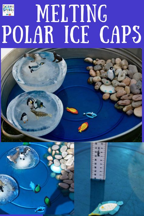 Freeze giant ice caps and time how long they take to melt. Brilliant climate change science investigation for kids. Time Science Project, Polar Ice Caps Melting, Climate Activities, What Is Climate, For Kids, Science Fair, Stem Activities, Science Projects, Science For Kids