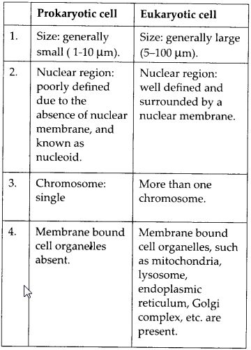 NCERT Solutions for Class 9 Science Chapter 5 The Fundamental Unit of Life - CBSE Tuts  #NcertSolutionsForClass9ScienceChapter5 Fundamental Unit Of Life Notes Class 9, The Fundamental Unit Of Life Notes, The Fundamental Unit Of Life, Class 9 Science Notes, Nuclear Membrane, Bio Notes, Algebra Formulas, Science Cells, Biology Classroom