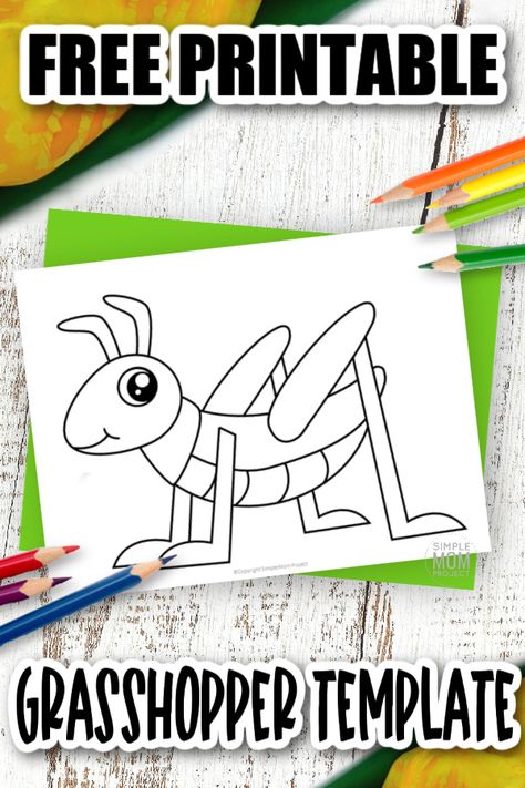 Free Printable Grasshopper Template - Simple Mom Project Clothes Pin Grasshopper Craft, Cricket Crafts For Preschoolers, Grasshopper Art Preschool, Grasshopper Preschool, Grasshopper Craft, Easter Preschool Worksheets, Prek Themes, Simple Mom Project, Prek Crafts