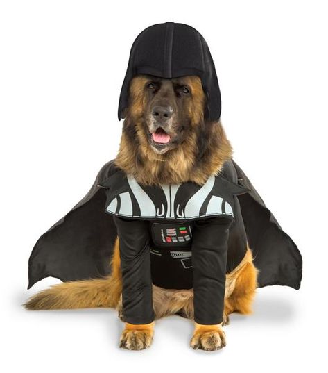 Canine Styles NYC Darth Vader Dog Halloween Costume Darth Vader Dog Costume, Darth Vader Dog, Dog Costumes Halloween Large, Darth Vader Costumes, Star Wars Halloween, Dark Vador, Vader Star Wars, Pet Halloween Costumes, Star Wars Costumes