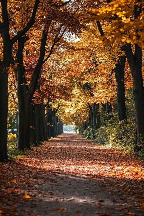 "🌲🇩🇪 Explore Berlin’s Tiergarten, a vast urban park filled with lush greenery, serene paths, and historic landmarks. Perfect for a relaxing stroll or a picnic. 🌳🚶‍♂️ #Tiergarten #Berlin #UrbanGreenSpace" Urban Park, Lush Greenery, A Picnic, Green Space, Berlin Germany, Lush, Berlin, Germany, Green