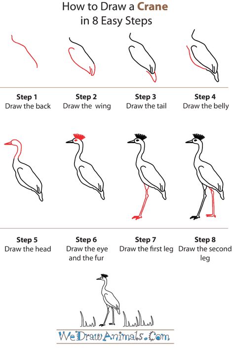 European Animals, Drawing Tuts, Bird Reference, Back Drawing, Draw Step By Step, How To Draw Steps, Wings Drawing, Bird Drawing, Crane Bird