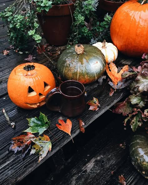 Delta Breezes, Fall Party Decorations, Fall Feeling, House Coffee, Halloween Everyday, Autumn Magic, Spooky Szn, Halloween Haunted Houses, All Things Fall