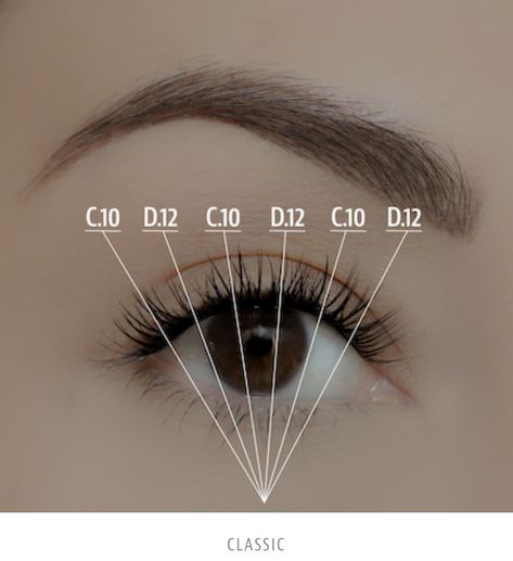 Lashify lash map Lashify Mapping, Lashify Lash Map, Lashify Maps, Lashify Lashes, Mi Classic, Eyes Printable, Lash Academy, Face Illusions, False Lashes Makeup