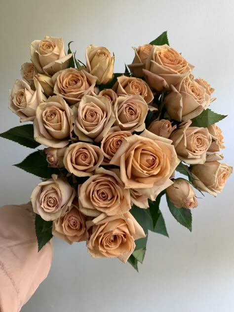 Gorgeous, nude-hued spray roses. Sahara Spray Rose, Brown Roses Bouquet, Brown Roses Aesthetic, Brown Flower Arrangements, Spray Roses Bouquet, Brown Roses, Champagne Roses, Beige Roses, Gold Roses