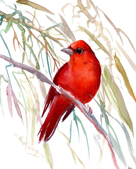 Summer Tanager, Kingfisher Watercolor, Bird Watercolor Art, Sea Turtle Watercolor, Cardinal Painting, Turtle Watercolor, Original Watercolor Art, Bird Painting, Bird Artwork