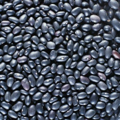 In addition to providing slow burning complex carbohydrates, black beans can help to increase energy by replenishing your iron stores. Although tannins in black beans may block absorption of some of the iron they contain, a single cup of black beans still contains enough iron (about 20%) that still provide benefit. Particularly for menstruating women, who are at more of a risk of iron deficiency, adding to their iron stores with black beans is a good idea. Curly Nikki, Dried Black Beans, Complex Carbohydrates, Iron Deficiency, Muscle Food, Soy Products, Increase Energy, Canned Black Beans, Vegetarian Diet