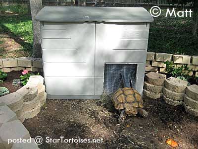 Keep your outdoor tortoise warm in cool weather! #DIY Heated Tortoise House - PetDIYs.com Tartaruga Habitat, Outdoor Tortoise Enclosure, Rubbermaid Shed, Tortoise Cage, Turtle Enclosure, Russian Tortoise Diet, Tortoise Table, Tortoise House, Tortoise Enclosure