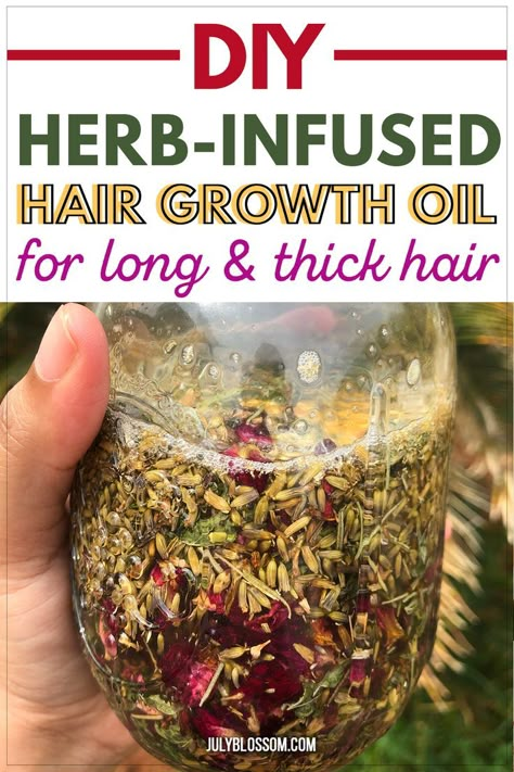 Herbs For Hair Growth Oil, Diy Rosemary Oil For Hair Growth, Herb Hair Growth Oil, Oil Infused Herbs, How To Extract Oil From Herbs, Diy Herbal Oil For Hair Growth, Herbal Oil For Hair Growth, Herbal Hair Growth Oil, Herbs Hair Growth