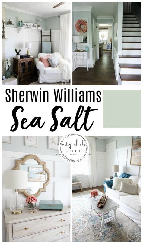 Sherwin Williams SEA SALT - The perfect NEUTRAL color! artsychicksrule.com #seasalt #sherwinwilliamsseasalt #bestcoastalpaintcolor #bluepaint #coastalpaintcolors Sherman Williams Sea Salt Living Rooms, Sea Salt Living Room, Sea Salt Kitchen, Benjamin Moore Sea Salt, Sw Sea Salt, Sea Salt Paint, Sherwin Williams Sea Salt, Coastal Neutral, Dream Condo