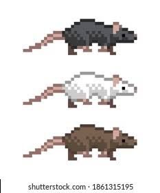 Perler Bead Rats, Rat Cross Stitch Pattern, Possum Pixel Art, Over The Garden Wall Pixel Art, Rat Pixelart, Silly Pixel Art, Rat Perler Beads, Rat Pixel Art, Moth Pixel Art