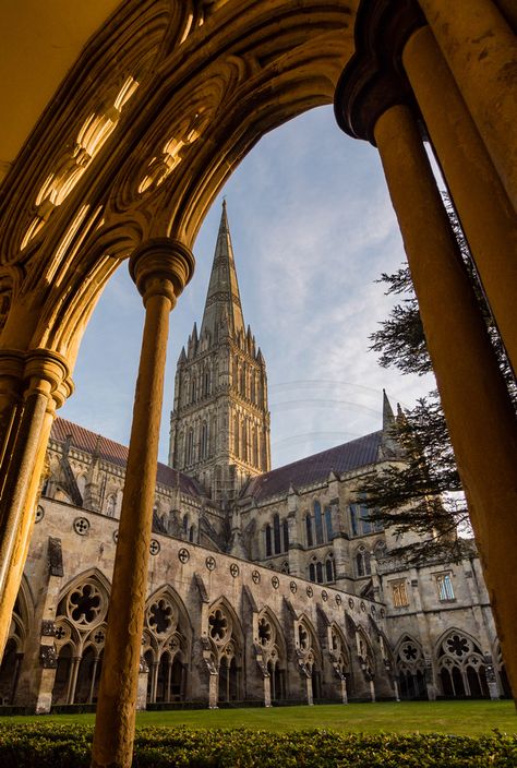 Dark University, English Cathedrals, Ruins Architecture, Salisbury Cathedral, Uk Trip, Medieval England, John Donne, Types Of Architecture, Gothic Cathedrals