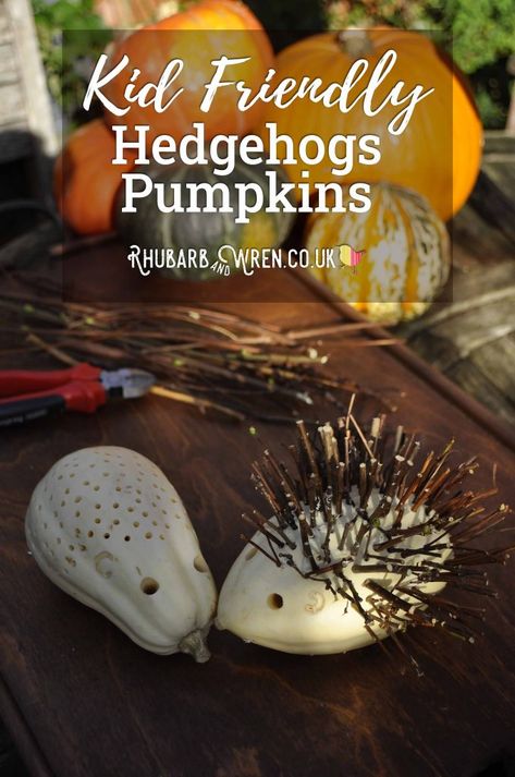 How to make hedgehog pumpkins! - Rhubarb and Wren Hedgehog Pumpkin Decorating, Pumpkin Hedgehog, Hedgehog Leaves Craft, Hedgehog Decorations, Hedgehog Pumpkin, Pumpkin Animals, Leaf Hedgehog, Hedgehog With Leaves Craft, Hedgehog Friendly Garden