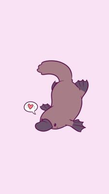 Cute Doodles Drawings, Platypus, Cute Doodle Art, Drawing Images, Creature Concept Art, Cute Little Drawings, Cute Animal Drawings, Cute Comics, Cute Wallpaper Backgrounds