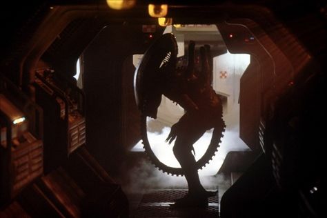 Alien (1979, Production Design: Michael Seymour) Alien Ridley Scott, Alien Movie 1979, Top Horror Movies, Giger Alien, Alien Isolation, Alien 1979, Pet Sematary, Sigourney Weaver, Aliens Movie