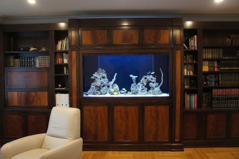 Luxury Fish Tanks and Aquariums | Gallery Photos | NY, NJ, PA Jim Bridger, Custom Fish Tanks, Custom Wall Unit, Custom Aquarium, Fish Gallery, Traditional Family Room, Saltwater Fish Tanks, Aquarium Maintenance, Tank Stand