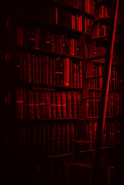 Aesthetic Red And Black Wallpaper, Aesthetic Red And Black, Red Bookshelf, Red Is My Favorite Color, Red Aesthetic Grunge, Red And Black Wallpaper, Dark Red Wallpaper, I See Red, Red Pictures